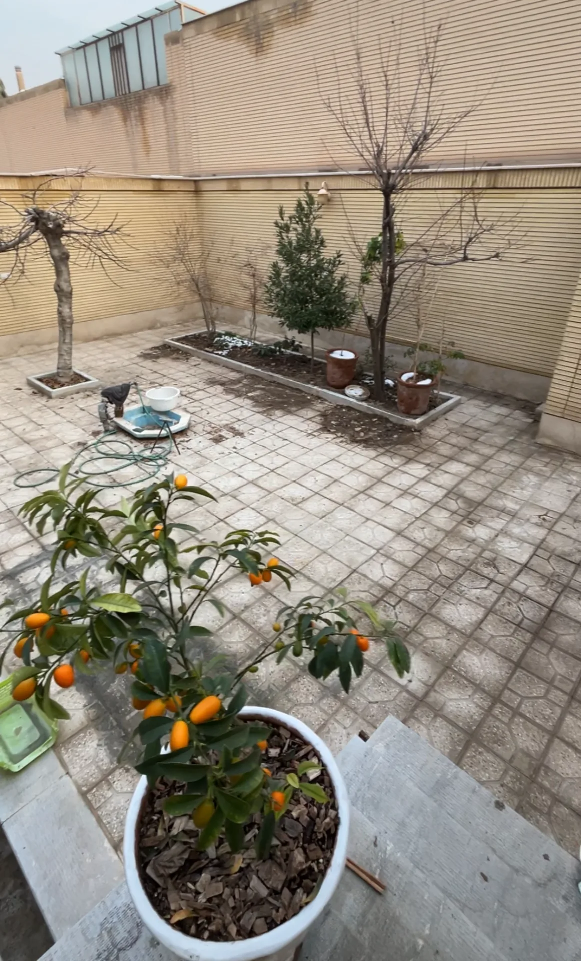 امید — تصویر پروژه